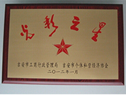 2012光彩之星