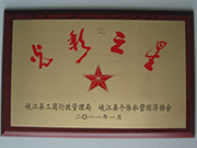 2011光彩之星